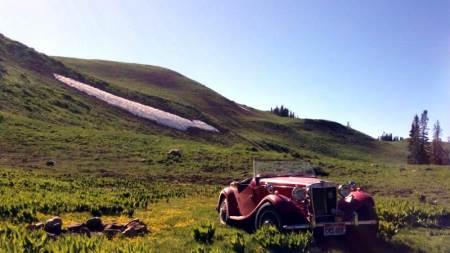 Tree Line Adventures through the Wasatch Mountains